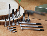 //ikrqrwxhmmmopn5r-static.micyjz.com/cloud/jrBpiKpmloSRrkrmjilljq/S-Bi-Metal-Screws.jpg
